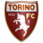 FC Turin