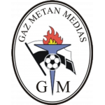Gaz Metan Mediaş II