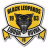 Black Leopards