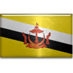 Brunei Darussalam O19