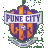 Pune City