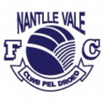 Dyffryn Nantlle Vale