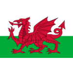 Wales U19 W