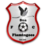 Sua Flamingoes