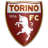 Torino U20