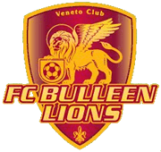 Bulleen Lions