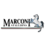 Marconi Stallions