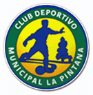 Deportes Pintana