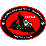 Ethio Electric