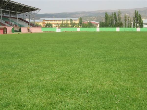 Bingöl Şehir Stadyumu (Bingöl)