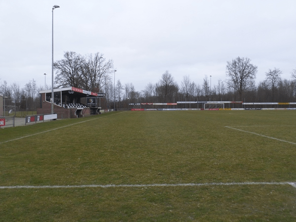 Sportpark Ezinge (MSC)