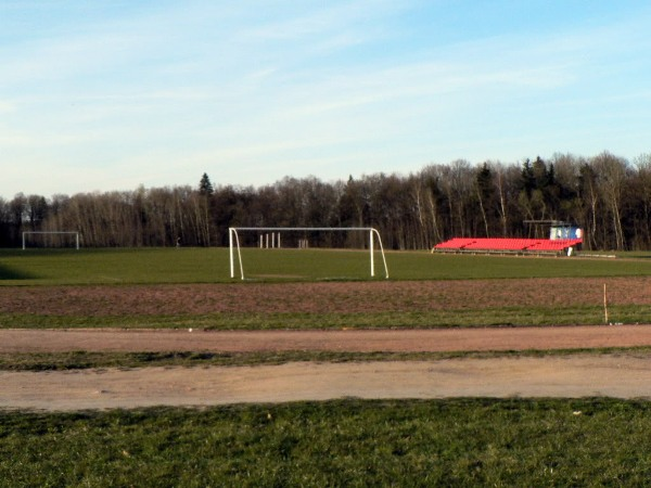 VDU Valdo Adamkaus stadionas