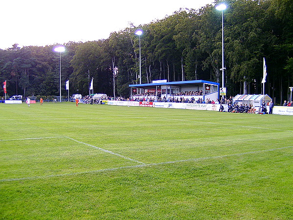 Waldsportplatz (Erlenbach am Main)