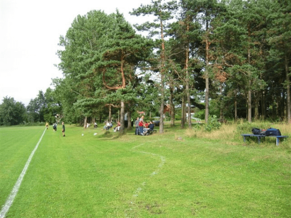 Stadions Arkādija grass (Rīga (Riga))