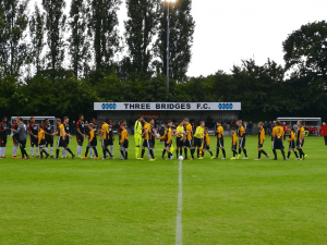 Jubilee Field (Crawley, West Sussex)