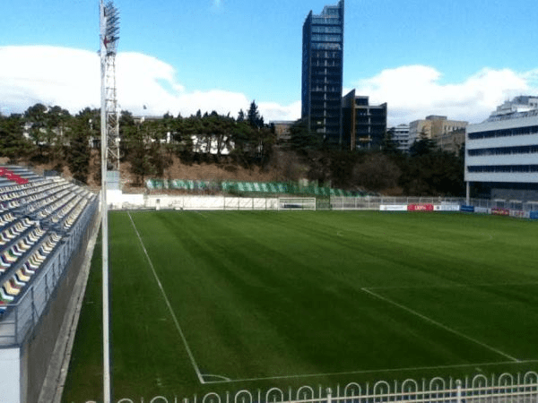 Mikheil Meskhis Sakhelobis Stadionis Satadarigo Moedani