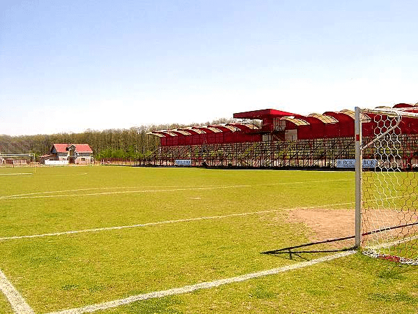 Stadionul Voinţa (Domneşti)