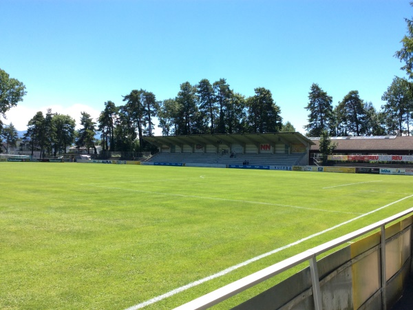 Waldstadion Hard (Hard am Bodensee)