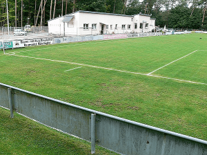 Waldsportplatz (Erlenbach am Main)