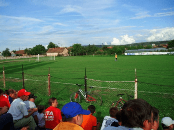 Stadionul Şoimii (Pâncota)