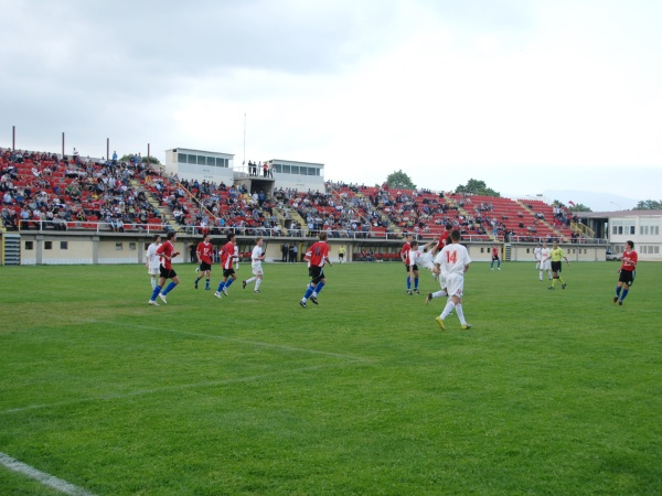 Stadion Goce Delčev