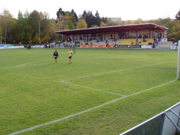 Arena zur Vogtlandweide (Auerbach)